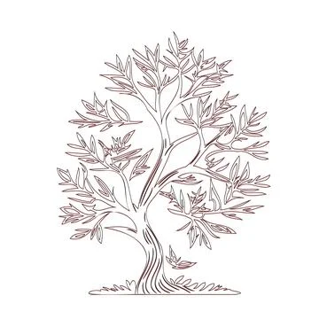 Maple tree nature illustration outline sketch red Stock Illustration