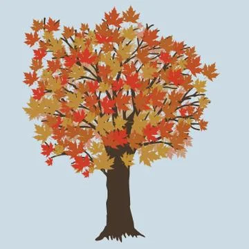 Maple tree with red and orange leafs イラスト素材