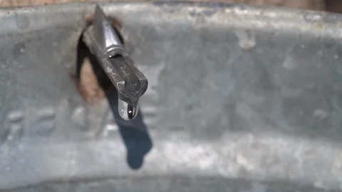 Maple Tree Sap Tap Into Galvanized Bucket Stock Footage 87041131
