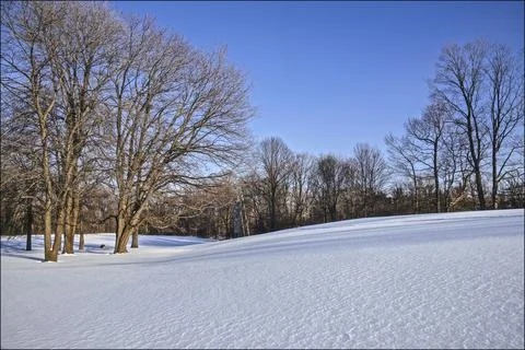 The maple tree in the snow covering the public park Stock Photos