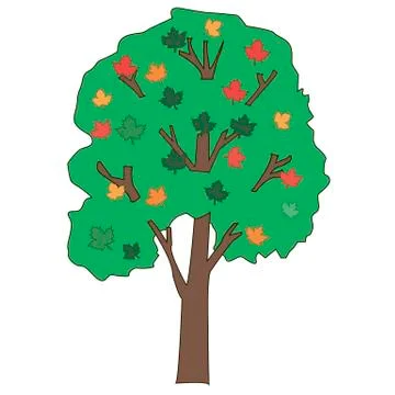 Maple tree on white background Stock Illustration