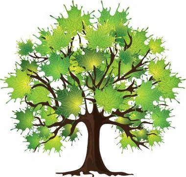 Maple tree on white Stock Illustration