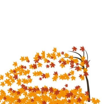 Maple tree in the wind, autumn. Fallen red and yellow leaves. illustration Stock Illustration