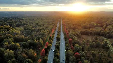 Maple Trees in Bloom 스톡 사진