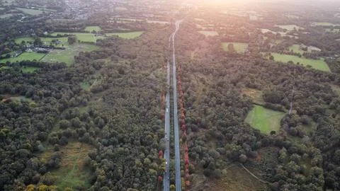 Maple Trees in Bloom Stock Photos