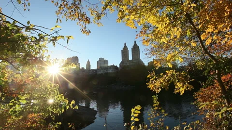 The Maple Trees Shining in the Evening Light with Luxury Apartments and a Pond Stock Footage 327319481