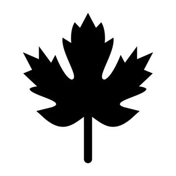 Maple Vector Icon Design Illustration Stock Illustration