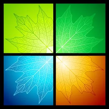 Maple vein leaf corners Stock Illustration