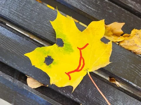 A maple yellow leaf with large black spots and a painted smile lies on the be Stock Photos