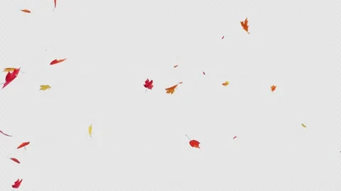 Maple_Burst on Alpha Channel Stock Footage 253872596