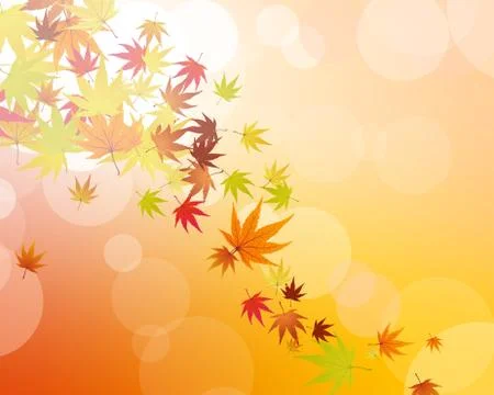 Maples leaves Stock Illustration