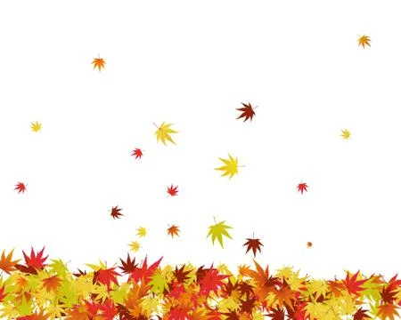 Maples leaves Stock Illustration