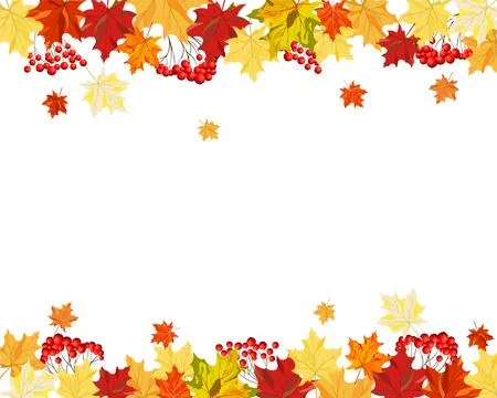 Maples leaves イラスト素材