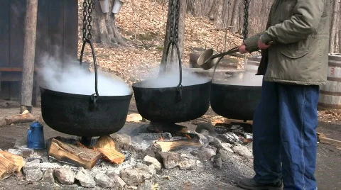 MapleSyrup3 Transfer Maple Syrup Stock Footage 669190