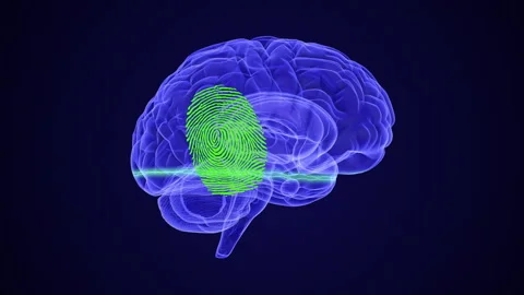 Mapping Chronic Pain in the Brain Stock Footage 256740620