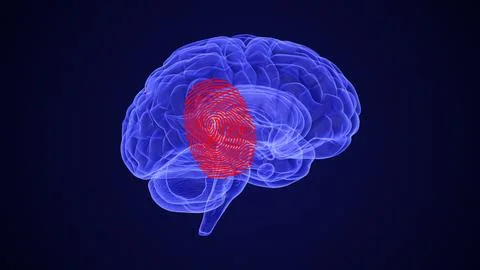 Mapping Chronic Pain in the Brain Stock Illustration