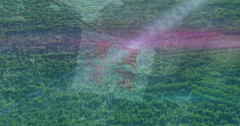 Mapping dense forest canopy from aerial perspective, with grid dots and purple Stock Photos
