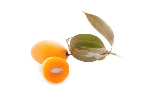 Maprang fruit , marian plum, or plum mango an isolated on white background Stock Photos