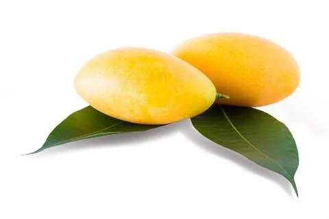 Maprang fruit is sweet. Stock Photos