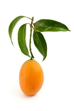 Maprang marian plum Foto stock
