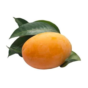 Maprang on white background 15 Stock Photos