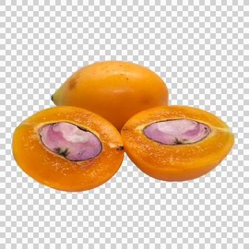 Maprang on white background 16 Stock Photos