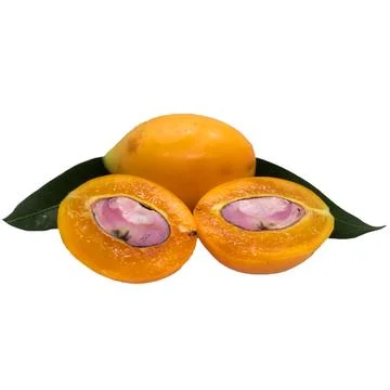 Maprang on white background 17 Stock Photos