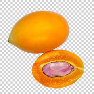 Maprang on white background 19 Stock Photos