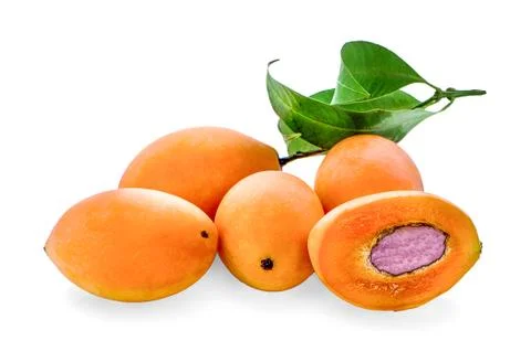 Maprang on white background Stock Photos