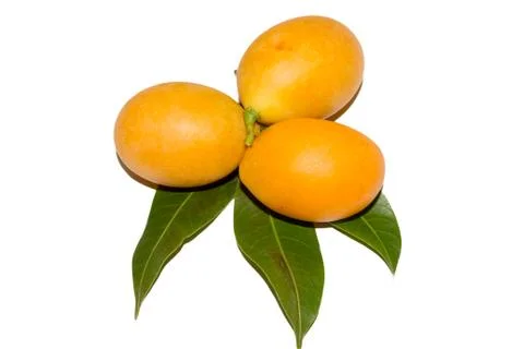 Maprang,yellow fruits Stock Photos