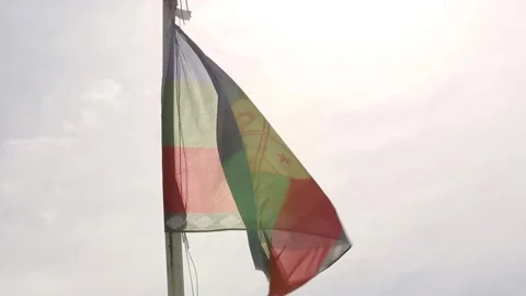 Mapuche indian flag Stock Footage 132054957