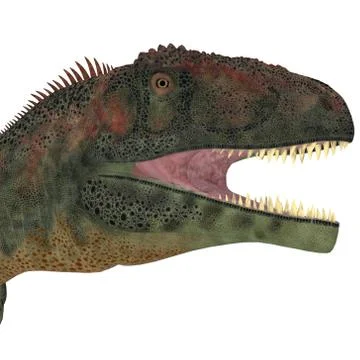 Mapusaurus Dinosaur Head Stock Illustration
