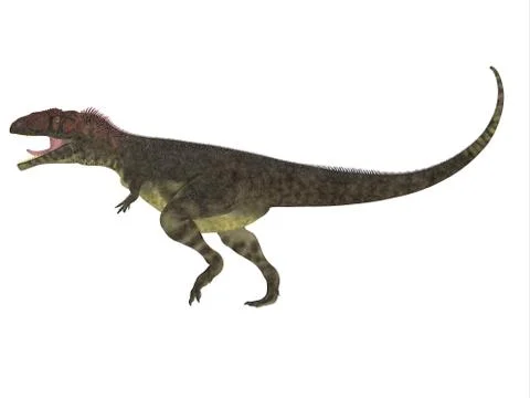 Mapusaurus Side Profile Stock Illustration