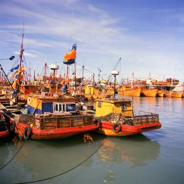 Mar del plata,argentina,fishboat,fish boat,boat,industry,pier,port argentina Stock Photos