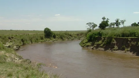 Mara river P1 Video stock 883092