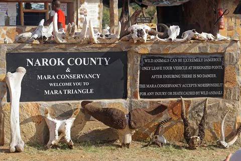 Mara Triangle Kenya Stock Photos