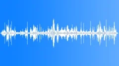 Marabou Stork And Vulture Sound Effect
