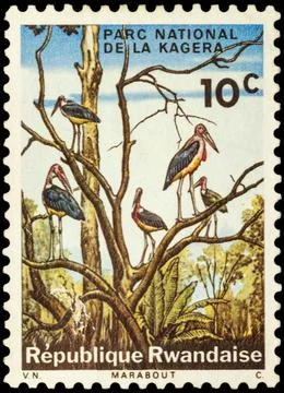Marabou storks on postage stamp Stock Photos
