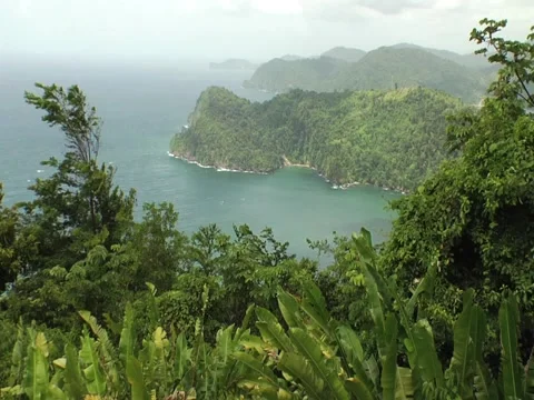 Maracas Bay View Stock Footage 2309963