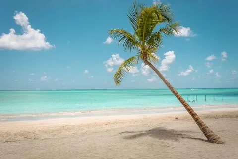 Maragogi beach Stock Photos