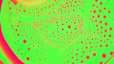Marangoni effect, crazy phenomenon. Abstract background. 4K video of research Stock Footage 144255907