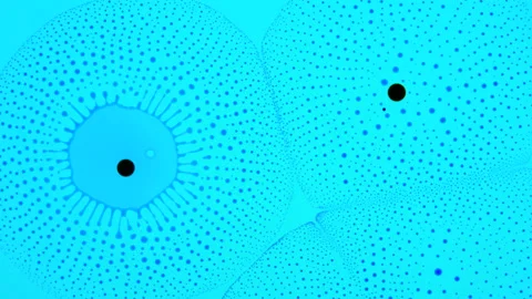 Marangoni effect, crazy phenomenon. Abstract background. 4K video of research Stock Footage 144256341