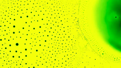 Marangoni effect, crazy phenomenon. Abstract background. 4K video of research Stock Footage 144256448