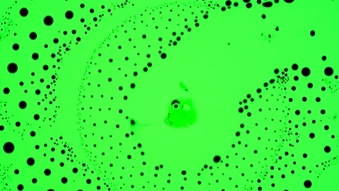 Marangoni effect, crazy phenomenon. Abstract background. 4K video of research Stock Footage 144256627