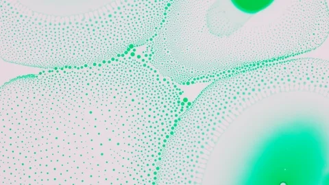 Marangoni effect, shocking phenomenon. Beautiful scientific chemical experiment. Stockbeeldmateriaal 126361625