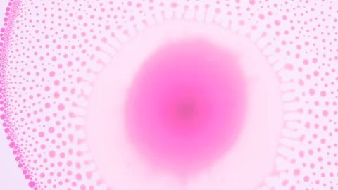 Marangoni effect, shocking phenomenon. Beautiful scientific chemical experiment. Stockbeeldmateriaal 126361779