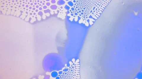 Marangoni effect, shocking phenomenon. Beautiful scientific chemical experiment. Stockbeeldmateriaal 126361783