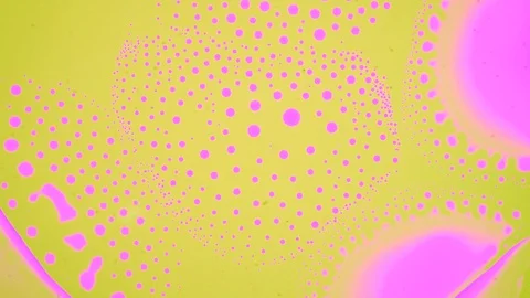 Marangoni effect, shocking phenomenon. Beautiful scientific chemical experiment. Stockbeeldmateriaal 126581320