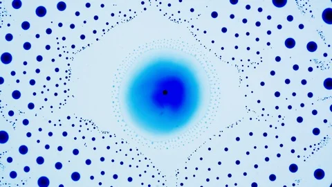 Marangoni effect, shocking phenomenon. Beautiful scientific chemical experiment. Stock Footage 126584340