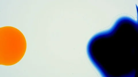 Marangoni effect, shocking phenomenon. Beautiful scientific chemical experiment. Stock Footage 126584441